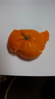 �t���ς��݂���