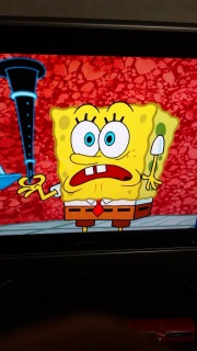 �X�|���W�E�{�u