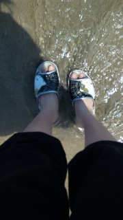 �������̑�