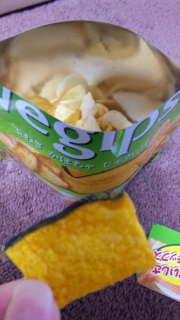 Vegips