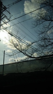 (untitled)