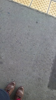 �j����̂�