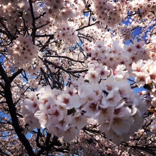 ������-���Hver-