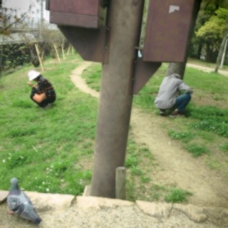 (untitled)