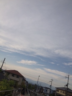 (untitled)