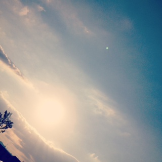 (untitled)