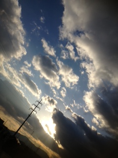 (untitled)