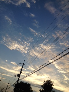 (untitled)